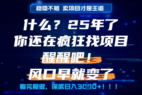 什么？25年你还在疯狂找项目做，醒醒吧，看完这些你全都懂了！【揭秘】-云深网创社