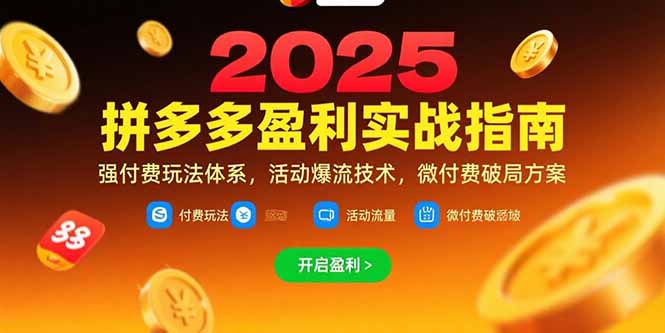 （15357期）拼多多盈利实战指南，强付费玩法，活动爆流技术，微付费破局方案(更新7月)-云深网创社