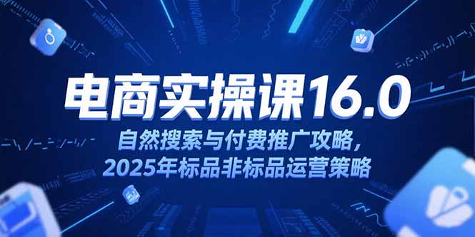（15262期）淘宝电商运营课16.0，自然搜索与付费推广攻略，2025年标品非标品运营策略-云深网创社