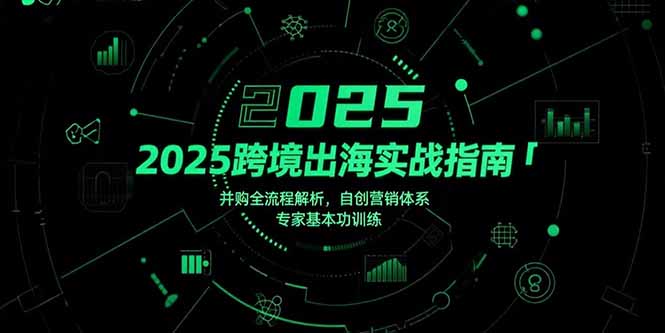 （15503期）2025跨境出海实战指南，并购全流程解析，自创营销体系，专家基本功训练-云深网创社