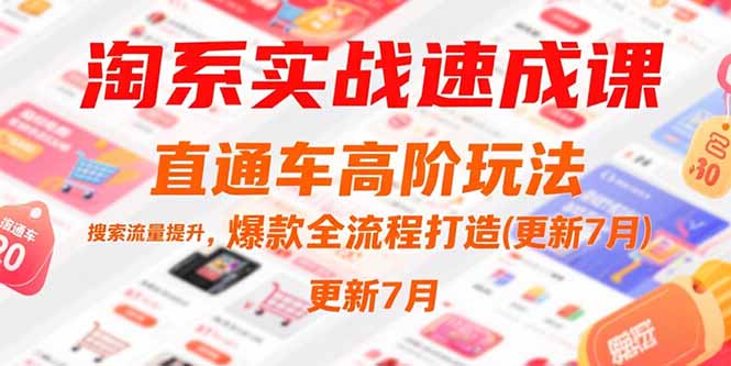 （15374期）淘系实战速成课，直通车高阶玩法，搜索流量提升，爆款全流程打造(更新7月)-云深网创社