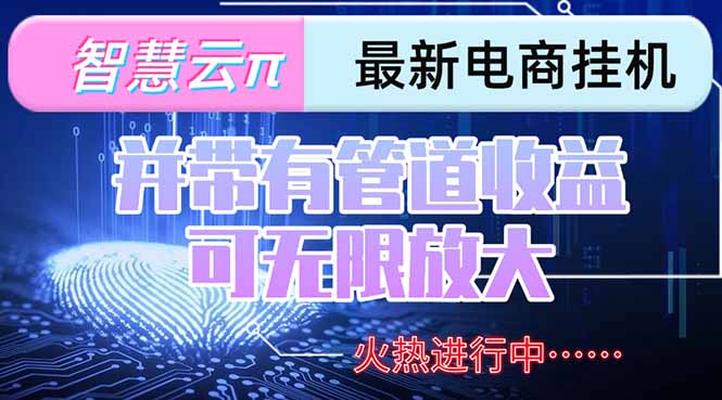 （15314期）智慧云π电脑挂机单机每天收益300—500+ 并带有团队管道收益 可无限放大-云深网创社