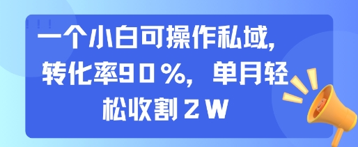 一个小白可操作私域，转化率90%，单月轻松收割2W-云深网创社