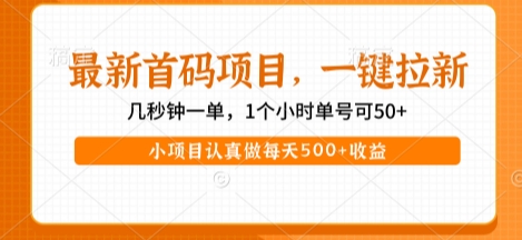 最新首码项目，操作最简单，收益高，一键拉新，1个小时单号可50+，小项目认真做每天5张+收益【揭秘】-云深网创社