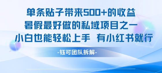 单条贴子带来5张的收益，暑假最好做的私域项目之一，小白也能轻松上手，有小红书就行-云深网创社