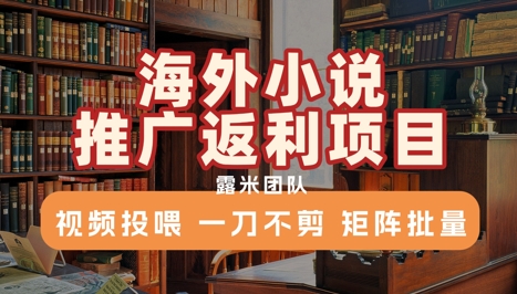 海外小说推广返利项目，视频投喂， 一刀不剪，矩阵批量-云深网创社