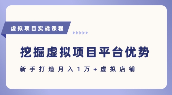 抓住虚拟项目各平台优势，新手轻松月入1W+(给出具体建议)-云深网创社