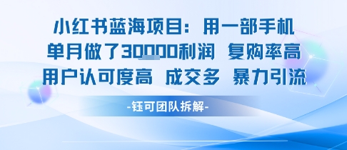 小红书蓝海项目，一部手机单月做了3W利润，小白也能月入过1W用户认可度高成交多-云深网创社