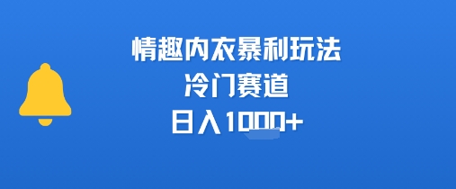 情趣内衣暴利玩法，冷门赛道，日入1k+-云深网创社