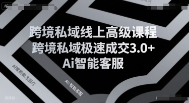 跨境私域线上高级课程，跨境私域极速成交3.0+Ai智能客服-云深网创社