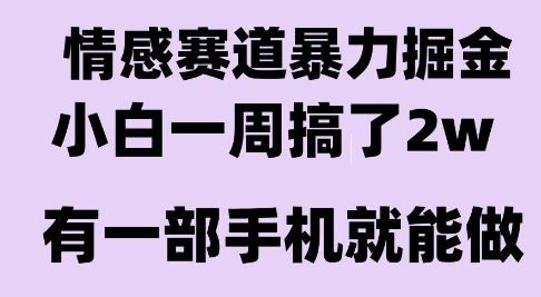 情感暴力掘金项目，新人操作一周挣了2W，长期稳定小白可做【揭秘】-云深网创社
