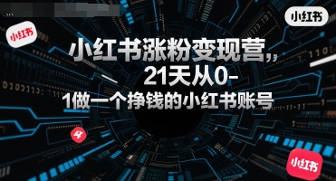 小红书涨粉变现营，21天从0-1做一个挣钱的小红书账号-云深网创社