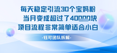 每天稳定引流30个人 当月变成超过了4个W项目流程非常简单适合小白-云深网创社