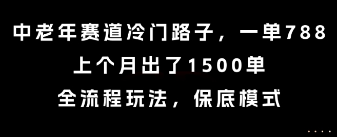 中老年赛道冷门路子，一单788，上个月出了1500单，全流程玩法，保底模式【揭秘】-云深网创社