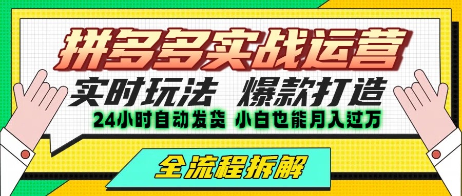 拼多多最新实战运营高投产：长久稳定项目，单店利润一天三位数-云深网创社