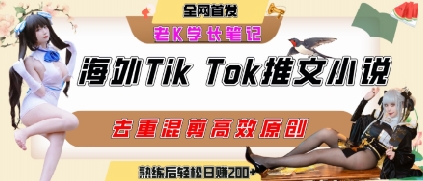 海外tiktok小说推文暴力项目，高停留率，高转化率，上手后一天搞顿饭钱不是问题-云深网创社