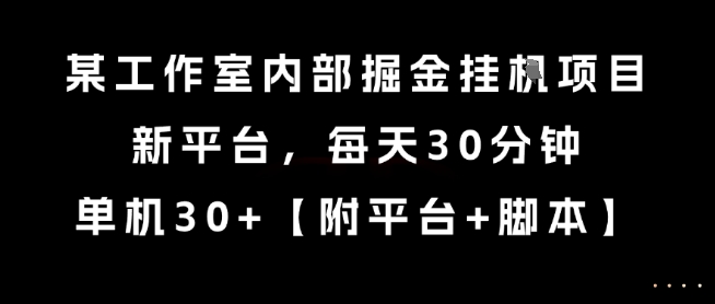 某工作室内部掘金挂G项目，新平台，每天30分钟，单机30+【揭秘】-云深网创社
