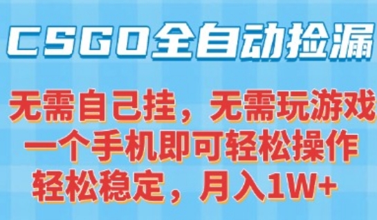 CSGO自动捡漏项目，最新独家玩法，一个手机可操作，新手小白轻松月入1W+，操作简单易上手【揭秘】-云深网创社