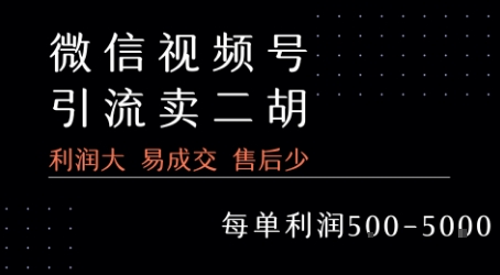 视频号卖二胡教程，利润大 易成交 售后少，一单利润5张+-云深网创社