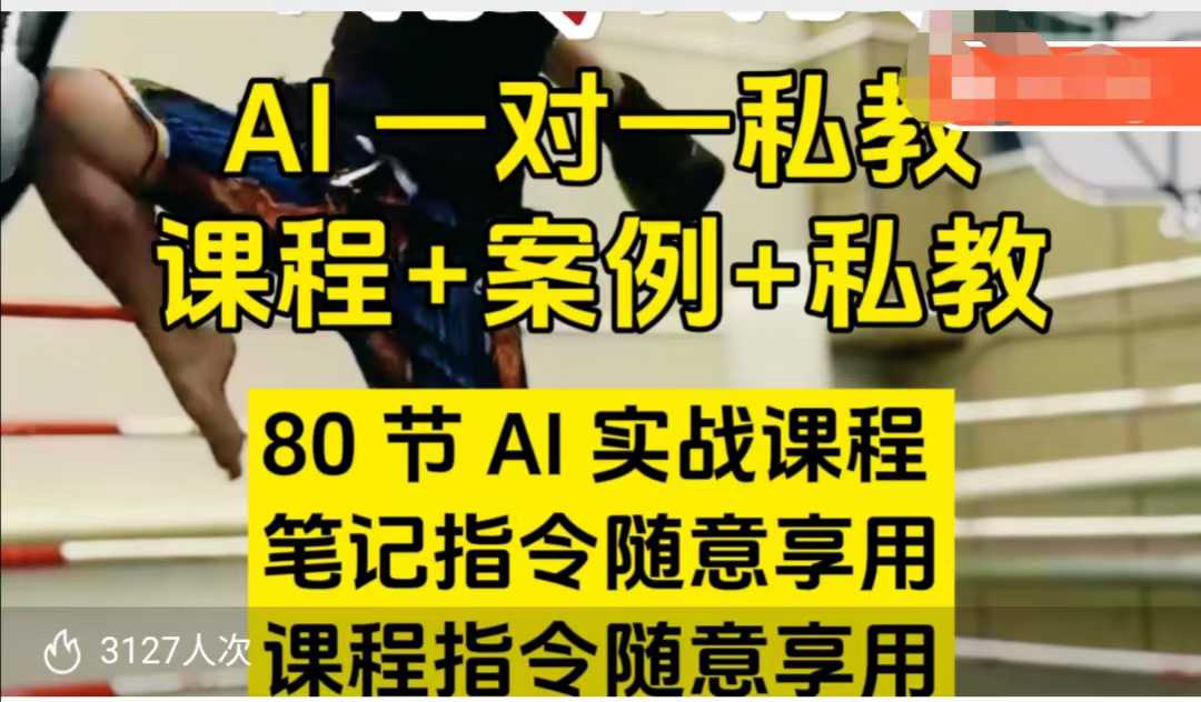 AI指令实战课，课程+案例，80节AI实战课程，笔记指令随意享用，课程指令随意享用（更新7月）-云深网创社