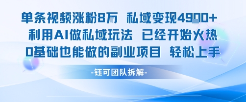 单条视频私域变现4.9k+利用AI做私域玩法 已经开始火热0基础也能做的副业项目轻松上手-云深网创社