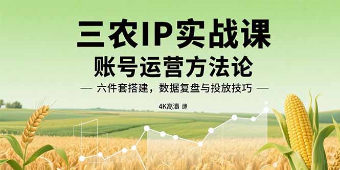 （15864期）三农IP实战课：账号运营方法论，六件套搭建，数据复盘与投放技巧-云深网创社