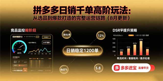 （15850期）拼多多日销千单高阶玩法：从选品到爆款打造的完整运营链路（8月更新）-云深网创社