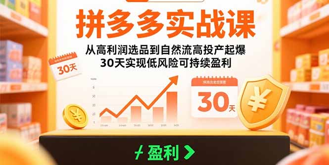 （15586期）拼多多实战课：从高利润选品到自然流高投产起爆 30天实现低风险可持续盈利-云深网创社