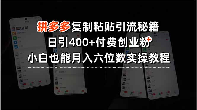 （15613期）拼多多复制粘贴引流秘籍，日引400+付费创业粉，小白也能月入六位数实操…-云深网创社
