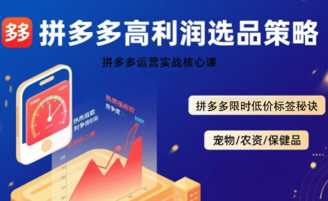 拼多多选品暴利技术实战课，拼多多高利润选品策略，拼多多限时低价标签秘诀-云深网创社