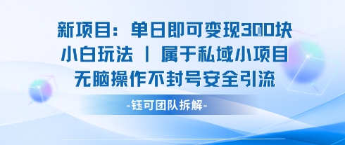 新项目单日即可变现3张的小白玩法无脑操作不封号安全引流-云深网创社