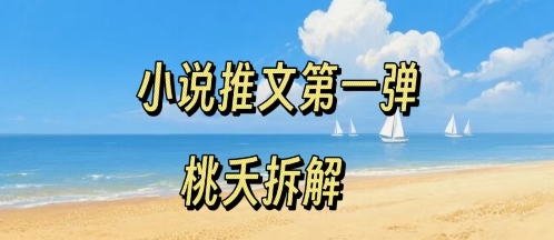 小说推文项目操作全流程第一弹，0粉就能做，门槛低非常适合新手-云深网创社