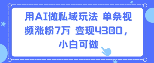 用AI做私域玩法，单条视频涨粉7W变现4.3k，小白可做-云深网创社