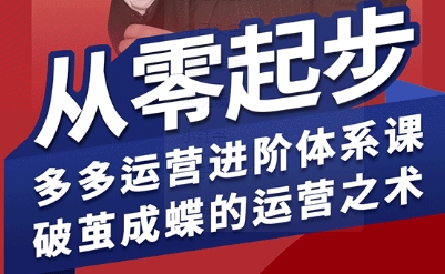 拼多多运营进阶系统课，从零起步，多多运营进阶体系课，破茧成蝶的运营之术-云深网创社