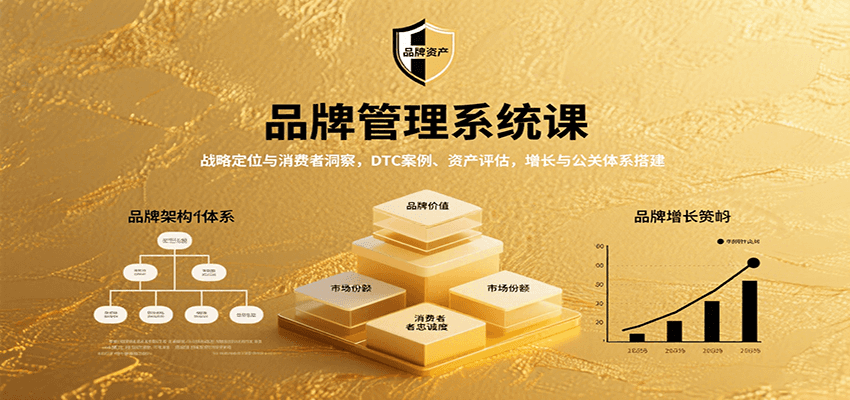 品牌管理系统课：战略定位与消费者洞察，DTC案例、资产评估，增长与公关体系搭建-云深网创社