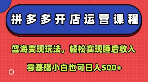 拼多多开店运营课程：蓝海变现玩法，轻松实现睡后收入，零基础小白也可日入5张-云深网创社