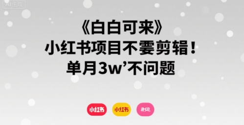 小白可来 小红书项目不需要剪辑 单月3w不是问题-云深网创社
