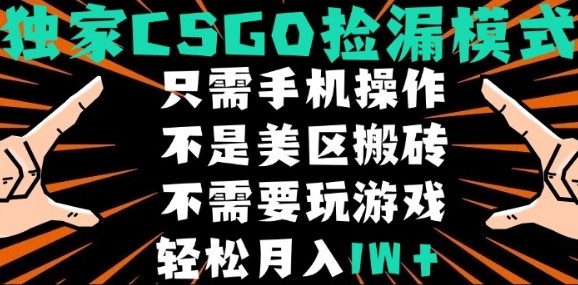CSGO自动捡漏项目，最新独家玩法，不是美区搬砖，不需要了解和玩游戏，新手小白轻松月入1W+【揭秘】-云深网创社