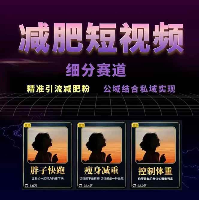 图片[2]-减肥短视频运营实战课：含素材制作、剪映教学，讲精准引流、变现设计与内容模板技巧-云深网创社