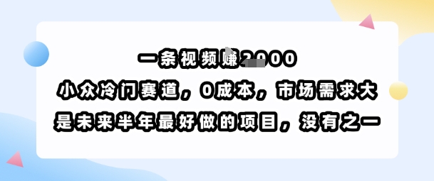 一条视频挣1k，小众冷门赛道，0成本，市场需求大，是未来半年最好做的项目，没有之一-云深网创社