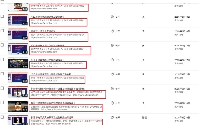 图片[2]-2025油管引流术，分享我是如何通过油管做引流的-云深网创社