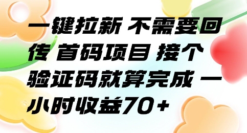一键拉新 不需要回传 首码项目 接个验证码就算完成 一小时收益70+【揭秘】-云深网创社