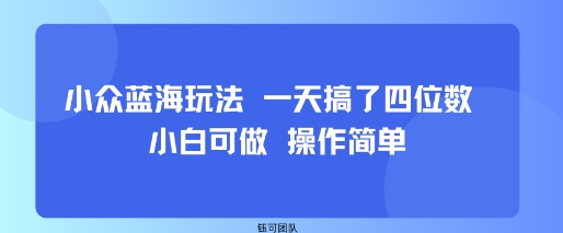 小众蓝海玩法 一天搞了四位数 小白可做 操作简单-云深网创社