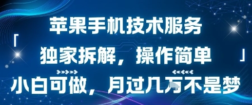 苹果手机技术服务，独家拆解，操作简单，小白可做，月过1W不是梦-云深网创社