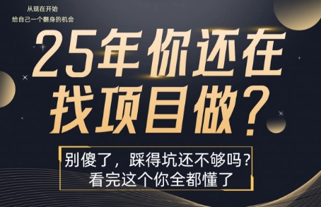 25年，你还在疯狂的找项目吗？别傻了，看完这个你都懂了【揭秘】-云深网创社