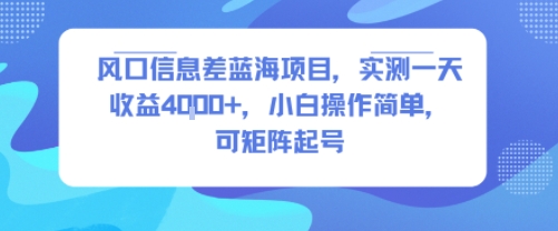 风口信息差蓝海项目，实测一天收益4k+，小白操作简单，可矩阵起号-云深网创社