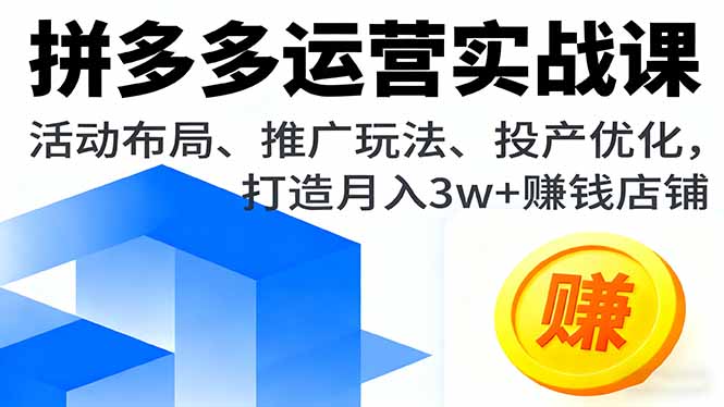 （16135期）拼多多运营实战课，活动布局、推广玩法、投产优化，打造月入3w+赚钱店铺-云深网创社