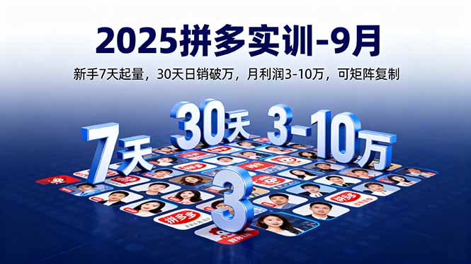 （16008期）2025拼多多实训-9月：新手7天起量,30天日销破万,月利润3-10万,可矩阵复制-云深网创社