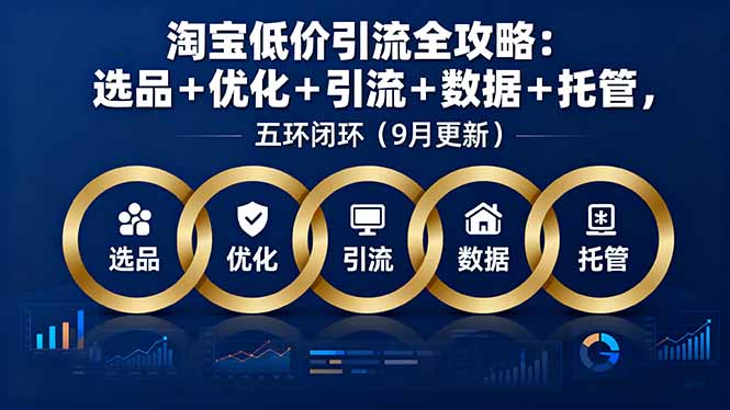 （16009期）淘宝低价引流全攻略：选品＋优化＋引流＋数据＋托管，五环闭环（9月更新）-云深网创社