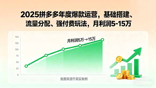（15973期）2025拼多多年度爆款运营，基础搭建、流量分配、强付费玩法，月利润5-15万-云深网创社